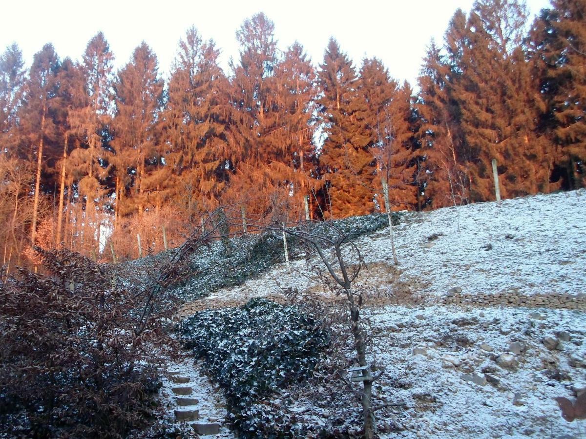 Maison Bod ' Art Theux Bagian luar foto